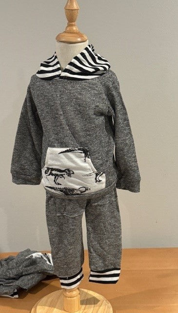 Gray Dinosaur Hooded Set